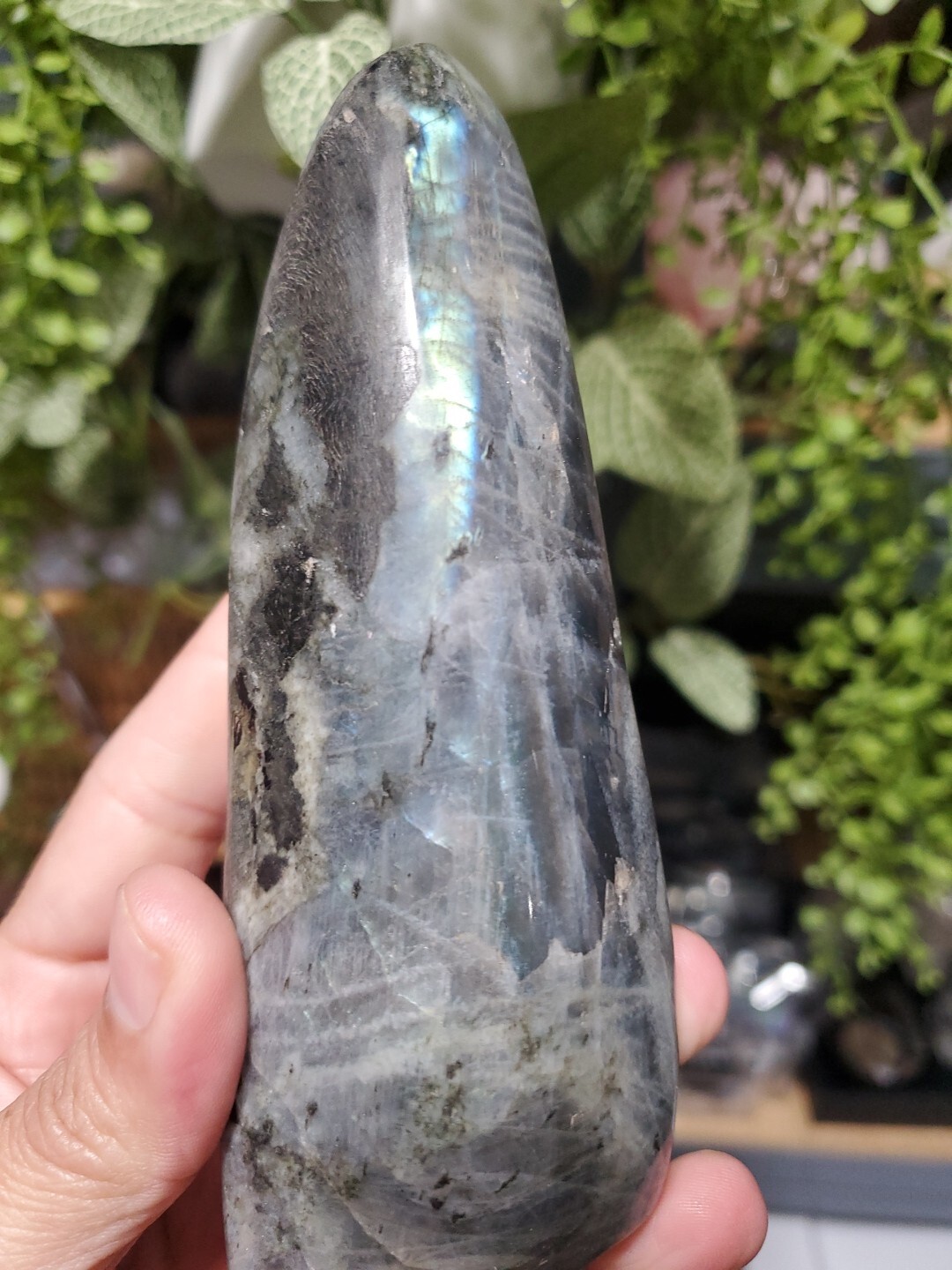 Labradorite Freeform Crystal, Yellow Flashes Decor 390g