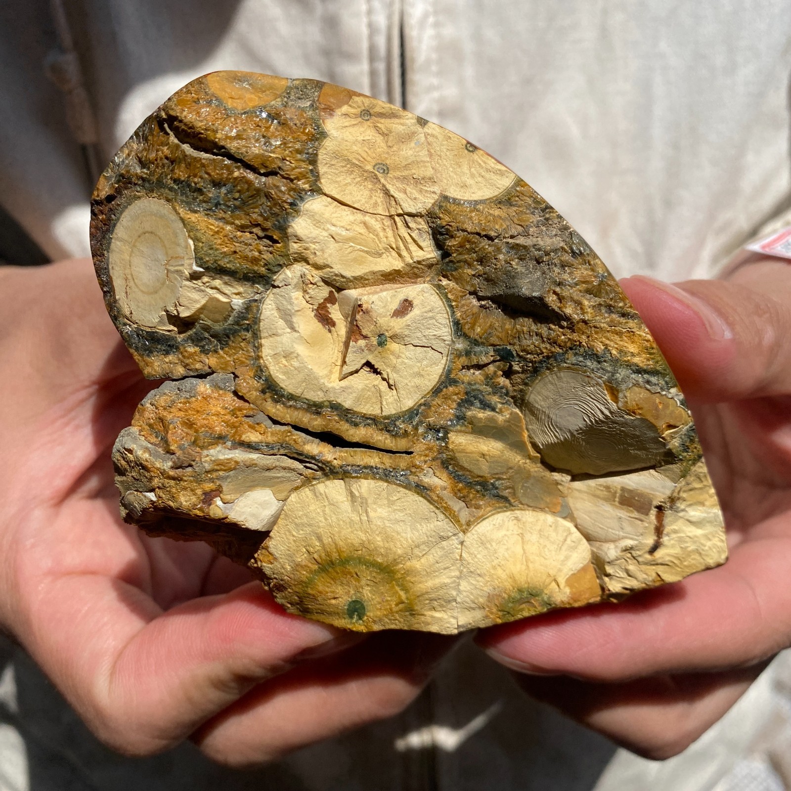 220G Natural high-quality Ocean Jasper Crystal Slice Large Specimen Healing