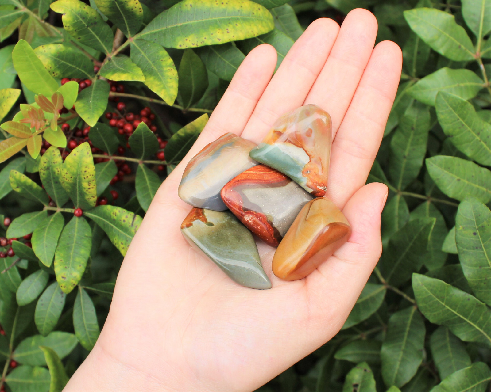 Polychrome Jasper Tumbled Stones: Choose How Many Pieces A Grade (Desert Jasper)