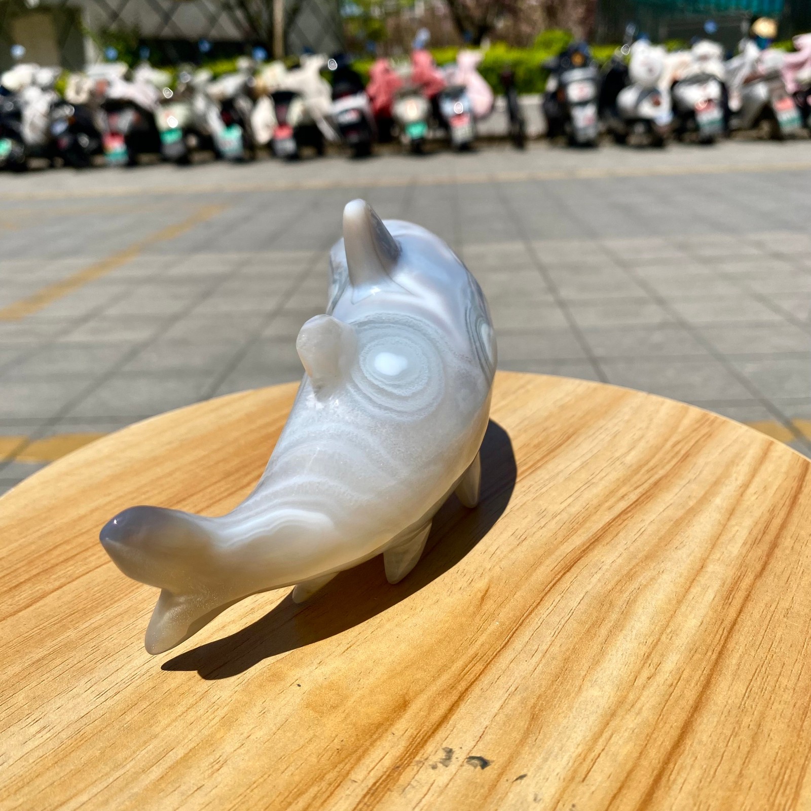 1.41LB Natural Agate Hand Carved Shark Figurine, Ocean Power Crystal Statue