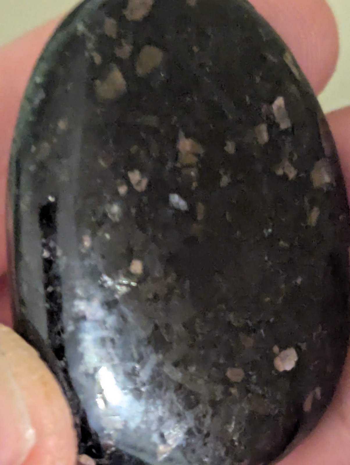 Flat Round Ovular sparkling Palm Stone