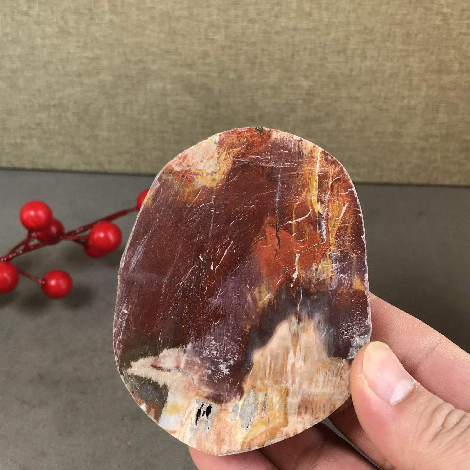 92mm natural Beautiful Petrified Wood Crystal Slice mineral specimen 266g A5424