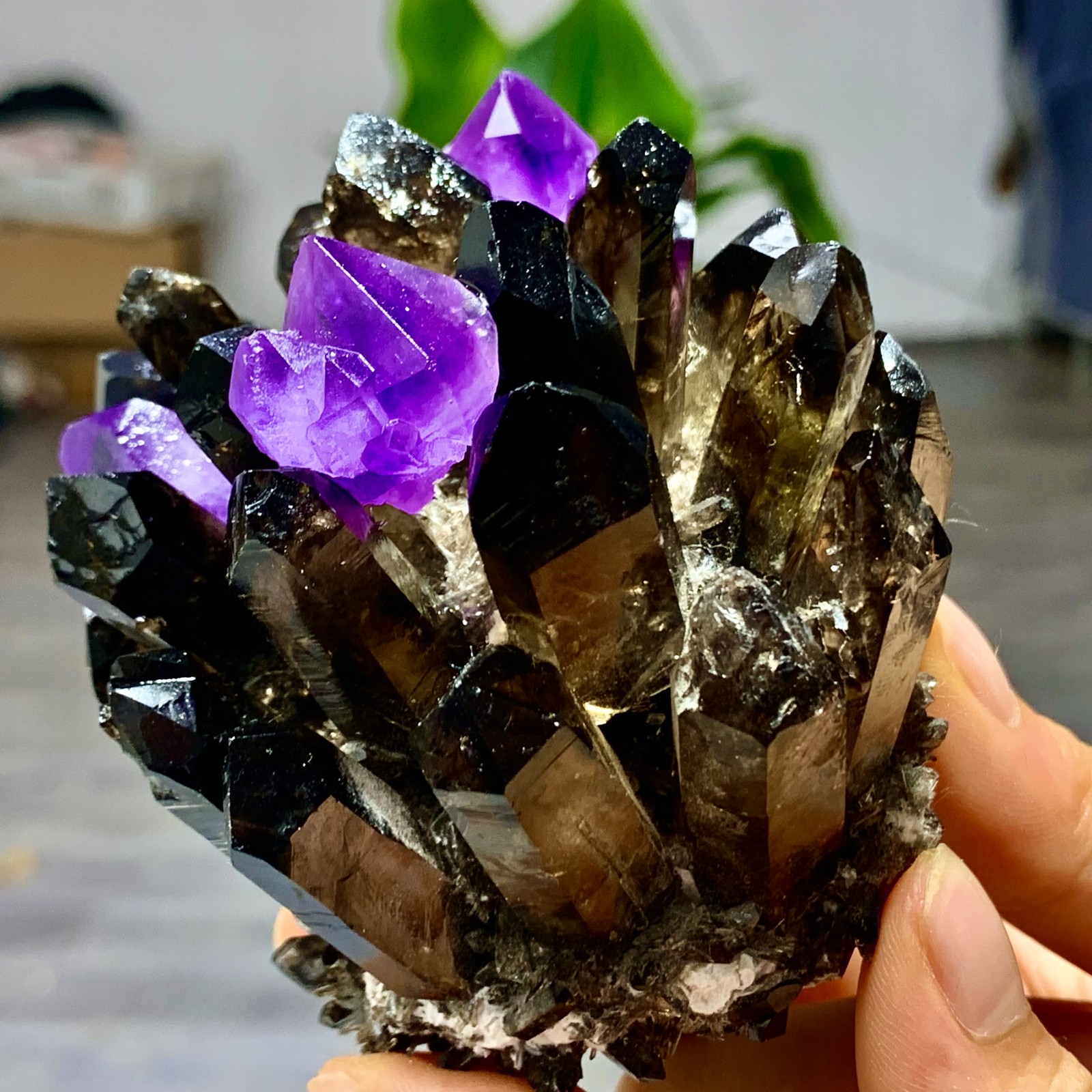 320G New Find black+purple Phantom Quartz Crystal Cluster Mineral Specimen