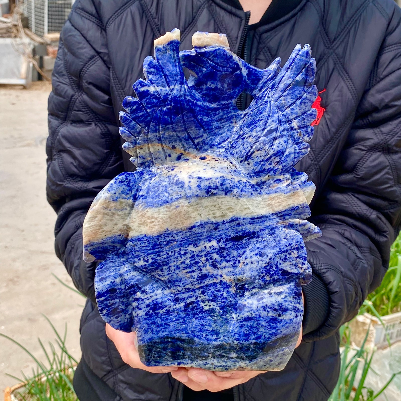 7LB Natural Blue Texture Crystal Carving Phoenix Rose Spiritual Energy