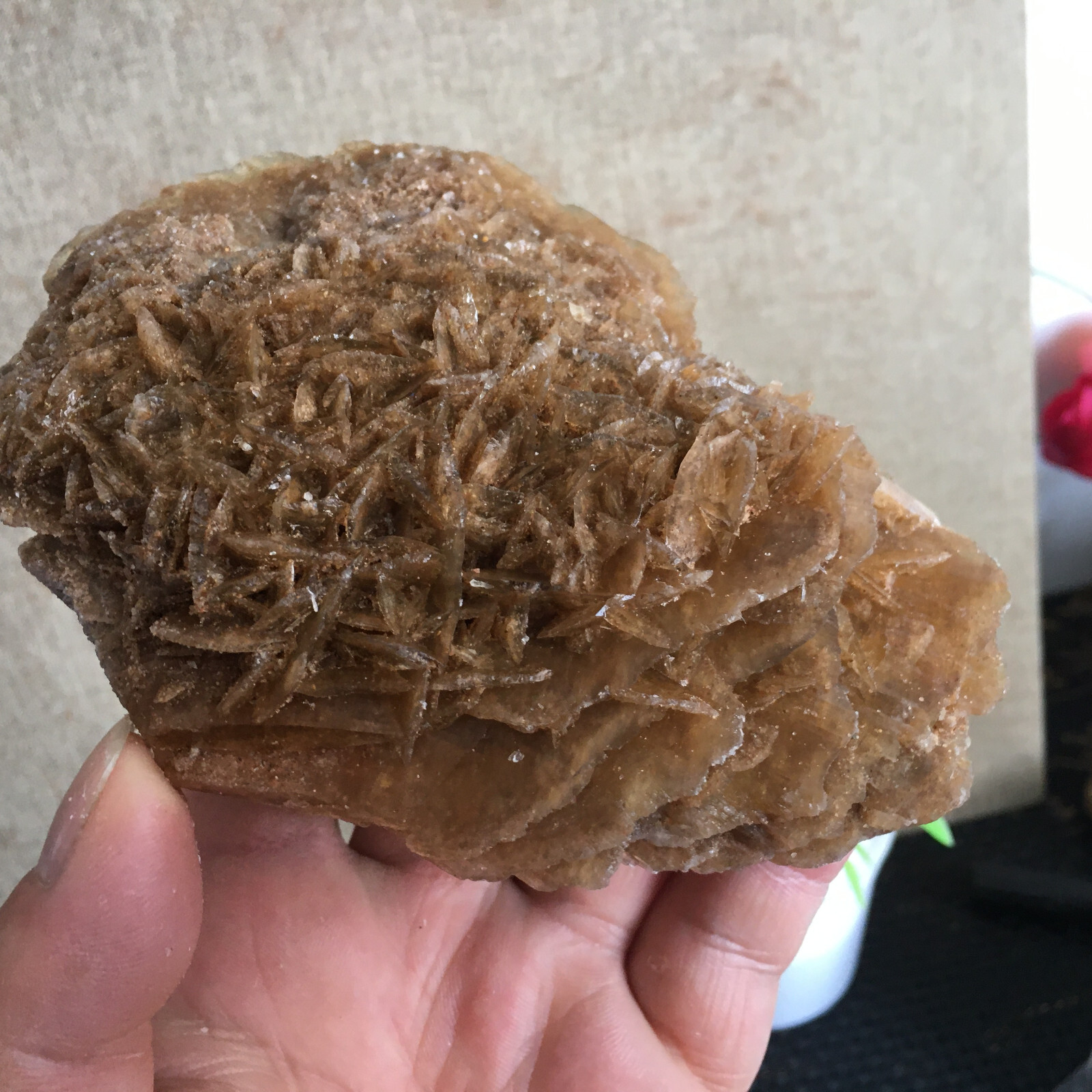 449g Natural Crystal Stone Desert Rose Specimen Decoration B1562