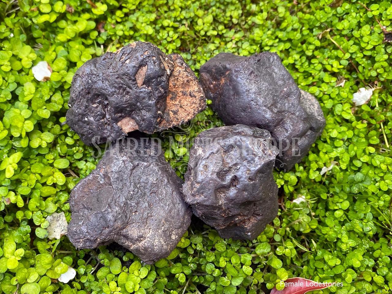 Lodestone Large Magnetite Choose Female, Male, Pair for Attraction Luck Balance