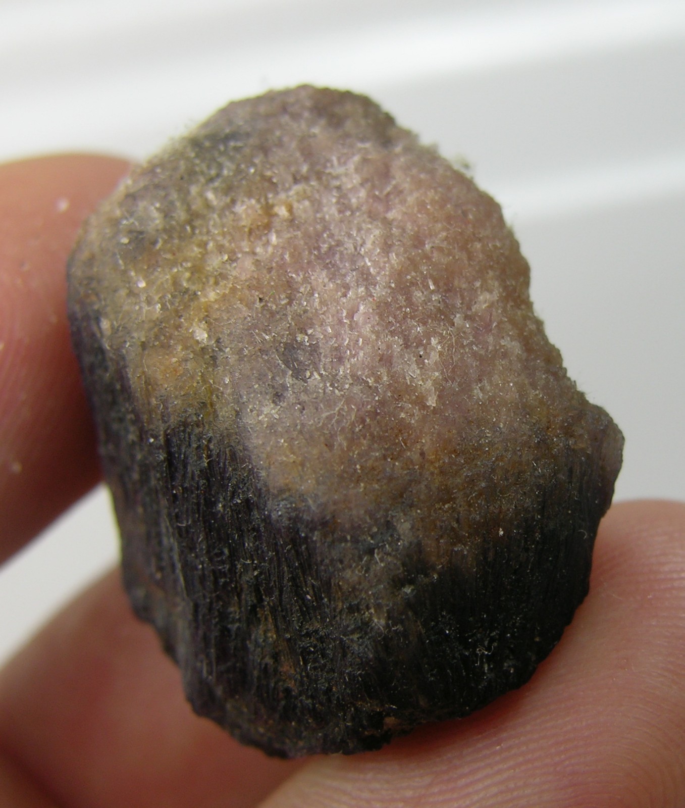 67.60ct 100% Natural Rubellite Mushroom Tourmaline Crystal Specimen 13.50g 28mm