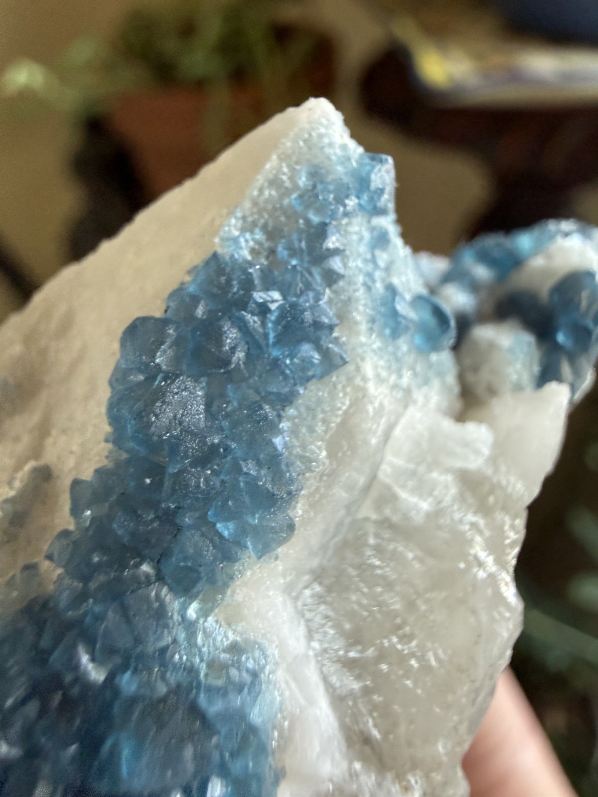 Irradiated Blue Fluorite Crystal in White Candle Quartz – 10.58 oz