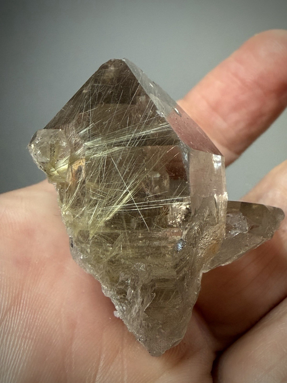 Rutilated Quartz Crystal Gold Rutile Inclusion Quartz Druzy Quartz Brazil