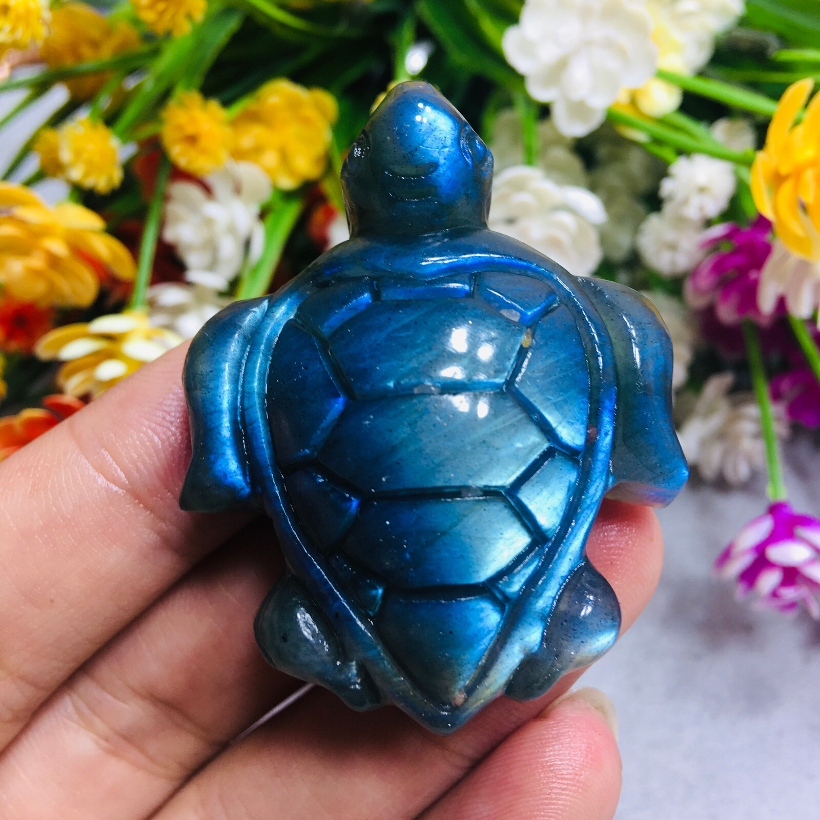 Natural Labradorite tortoise Quartz Skull Crystal Sea Turtle Reiki Healing Gift