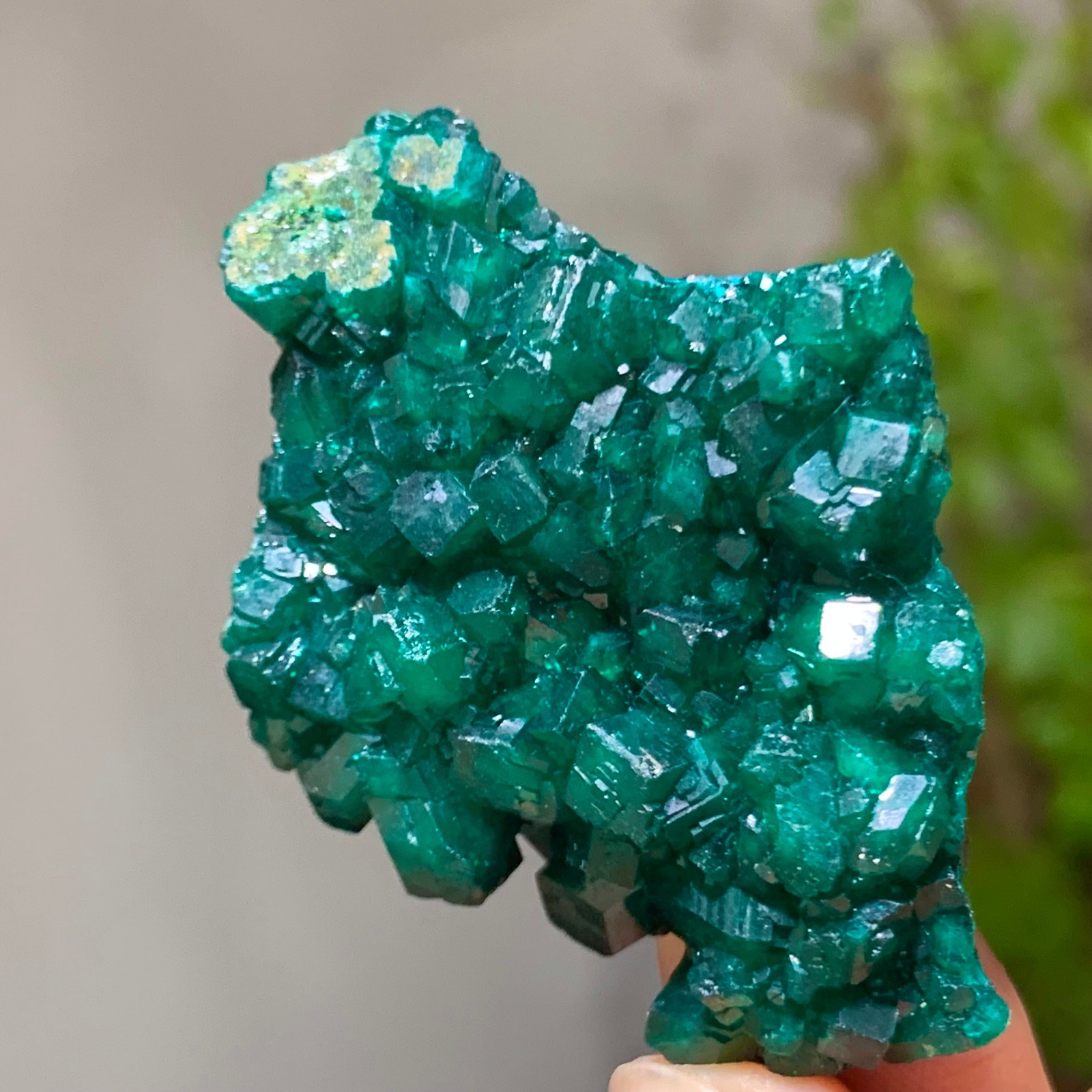 15G Natural green dioptase emerandine gemstone cluster mineral specimen