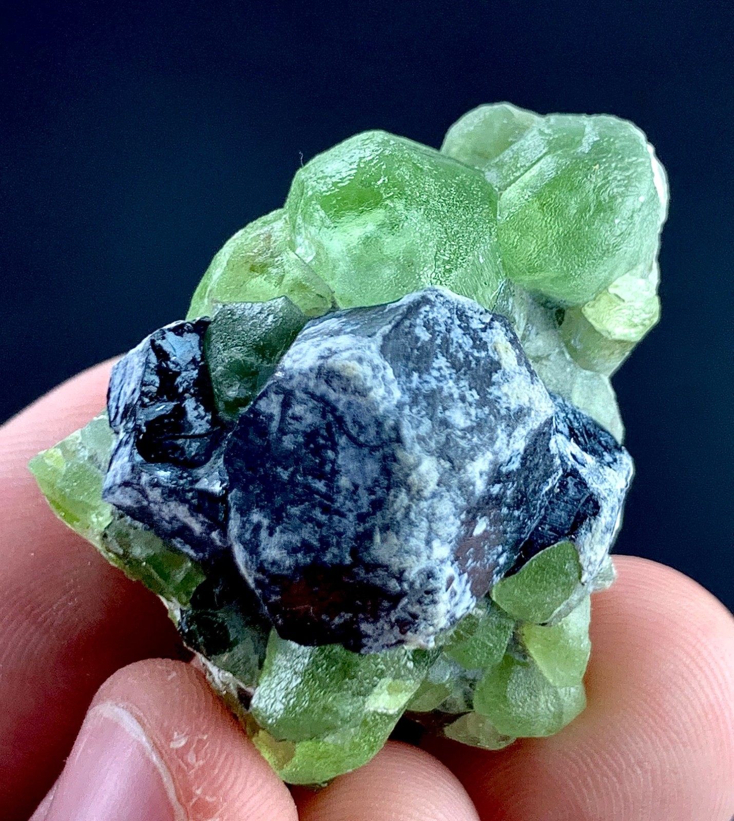 Peridot Crystal Specimen From Pakistan 146 Carat
