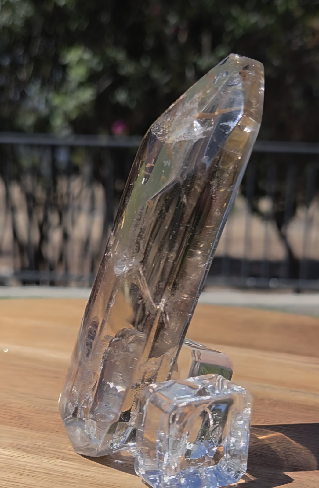 Clear Quartz Natural Point Crystal Polished Specimen w/ Golden Rutile Inclusions
