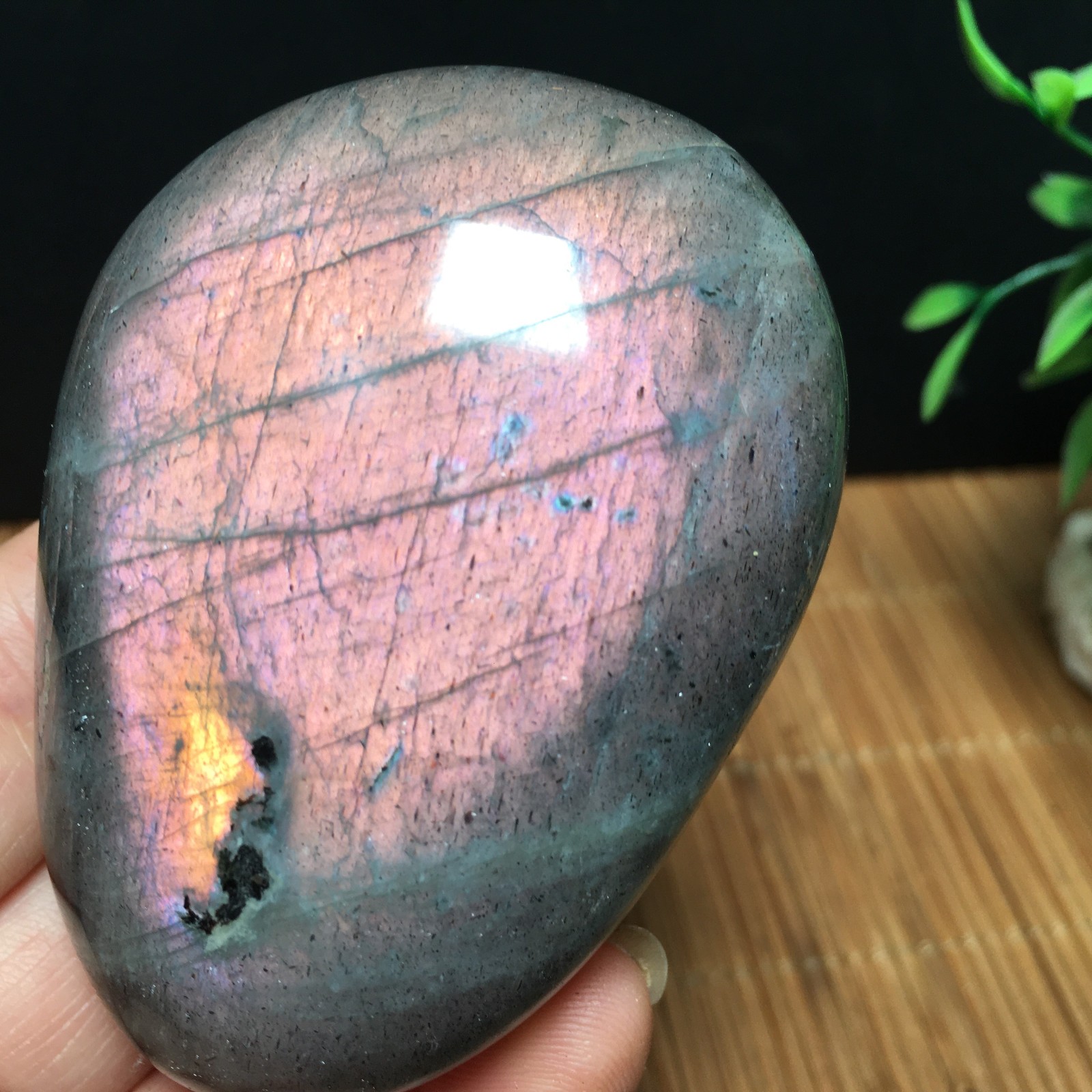 146g Natural Polished Labradorite plamstone Crystal Specimen fb1767