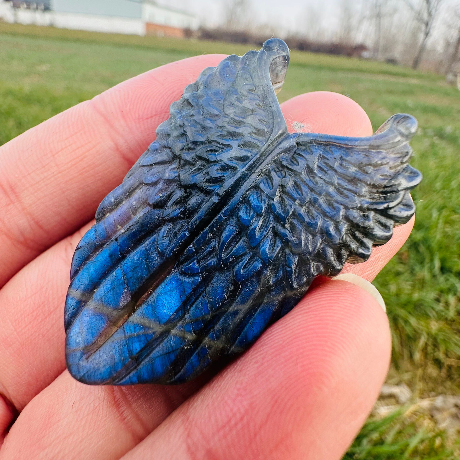Natural Labradorite Carved Wing Quartz Skull Crystal Specimen Reiki Healing 1PC