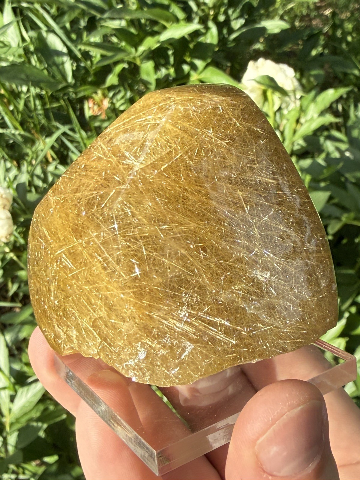 Golden Rutilated Included Quartz Freeform Polished Brazilian 6cm- 283g- ID68