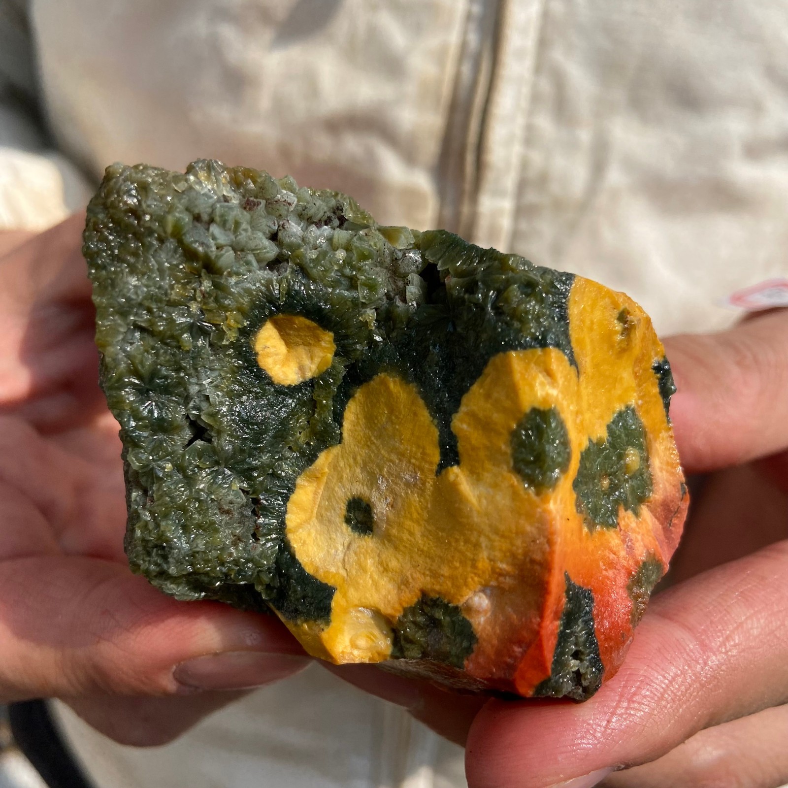 0.5lb Natural colourful ocean jasper raw stone crystal rough mineral specimen