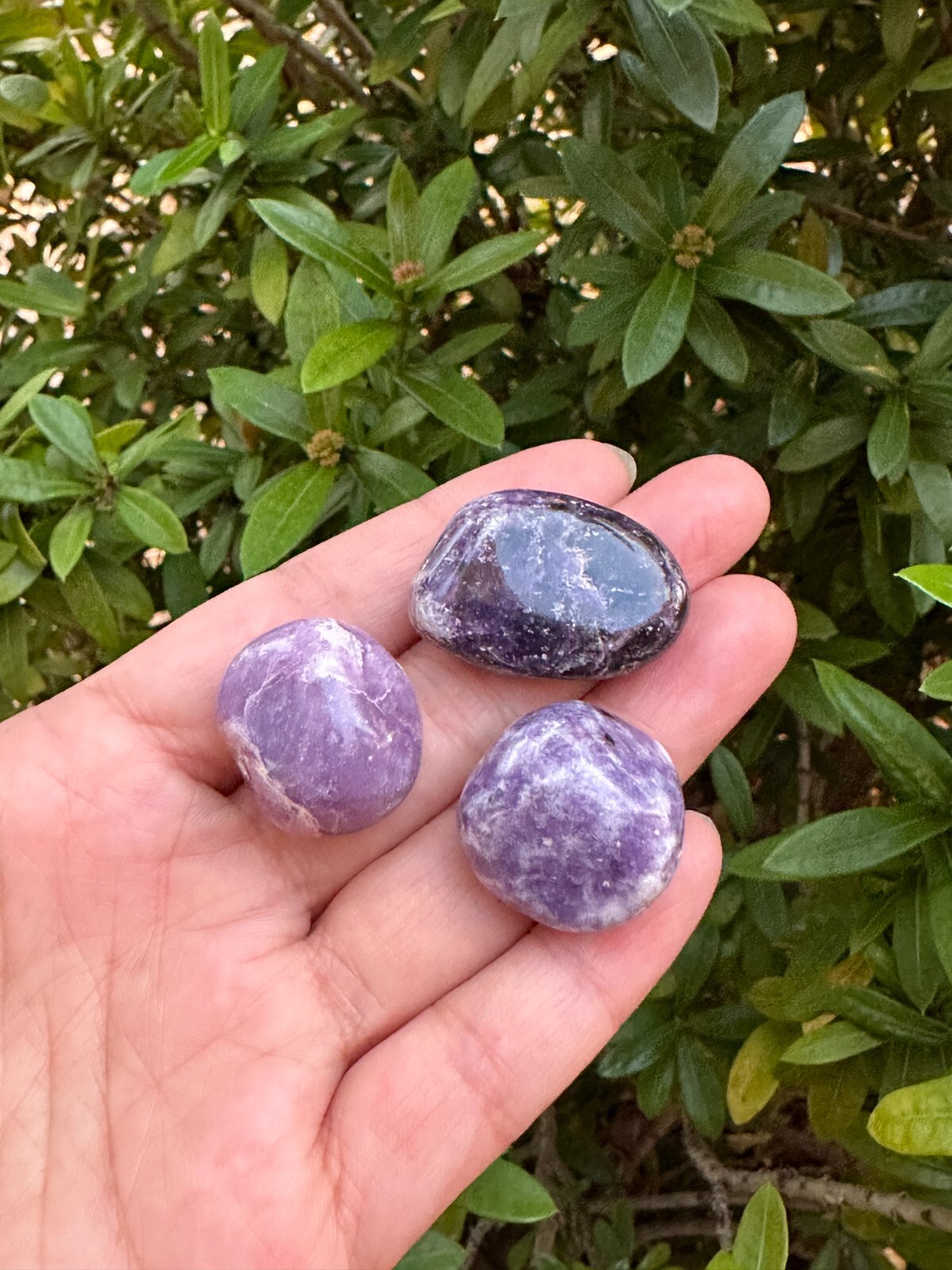 Grade A++ Lepidolite Tumbled Stones 0.75-1.25 Inch, Wholesale Bulk Lot