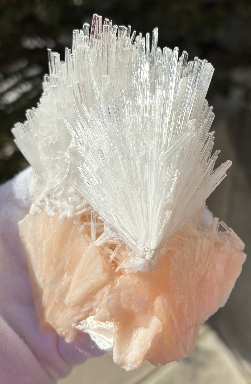 USA SALE 262g 4.3″ x 3.3″ LARGE SCOLECITE STILBITE SPECIMEN Fan/Blades/Spray