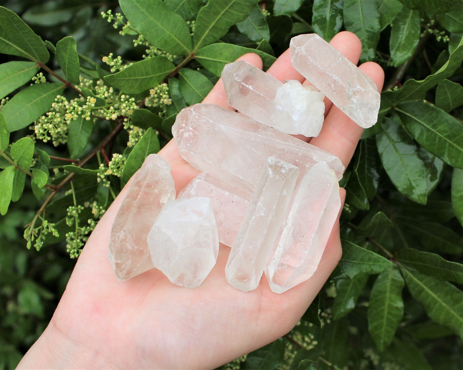 Wholesale CLEARANCE Bulk Lot 1 lb Rough Natural Quartz Crystal Points 16 oz