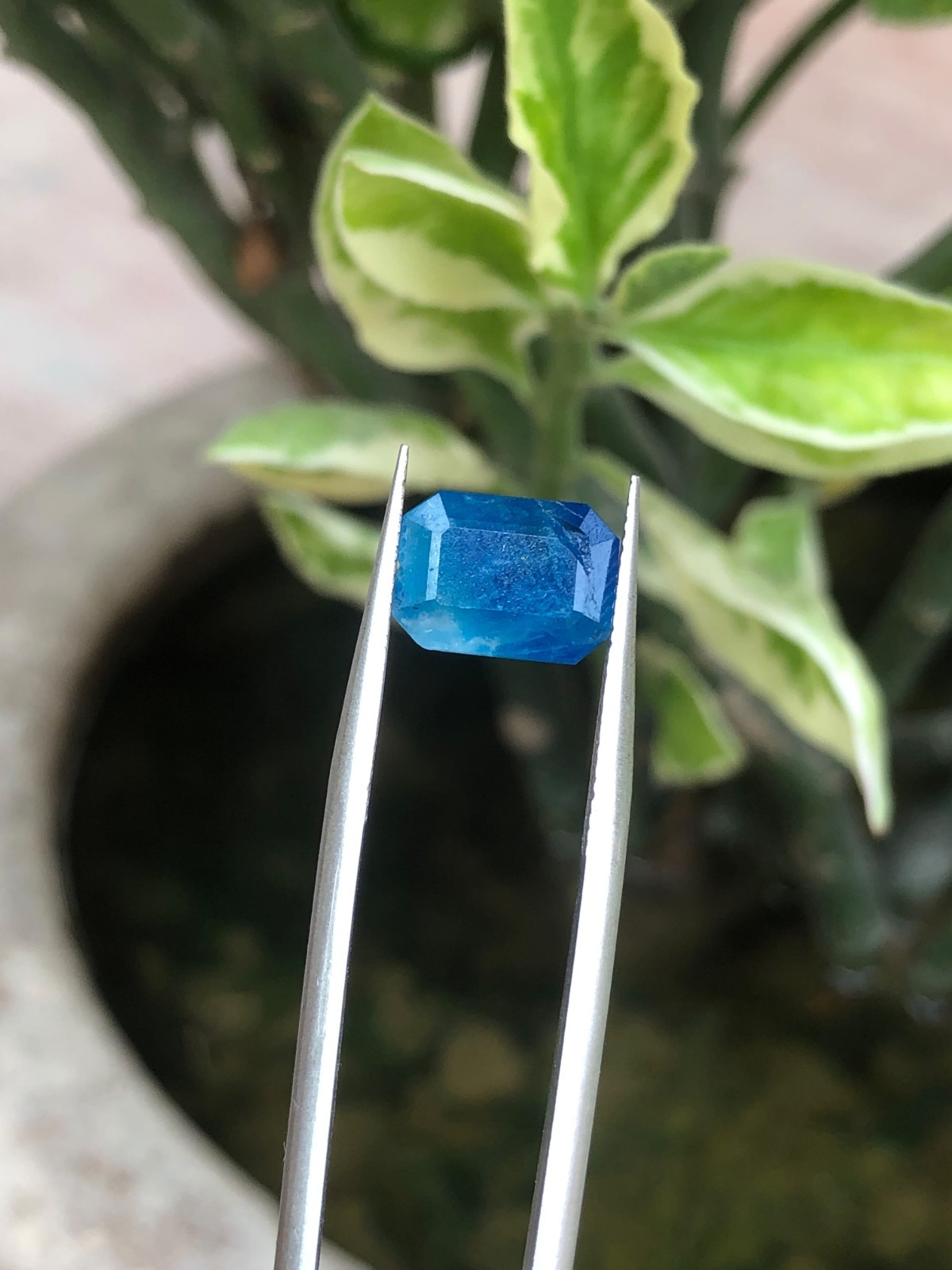 Natural Color Change Hackmanite Hayun 2.50 Ct Octagon Cut UV Fluorescent Gem