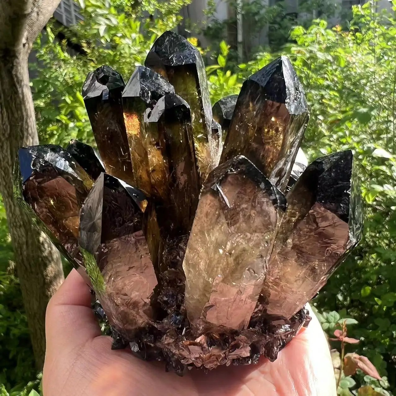 2025 300G New Find Large Smoky Quartz Crystal Healing Cluster Rocks Specimens