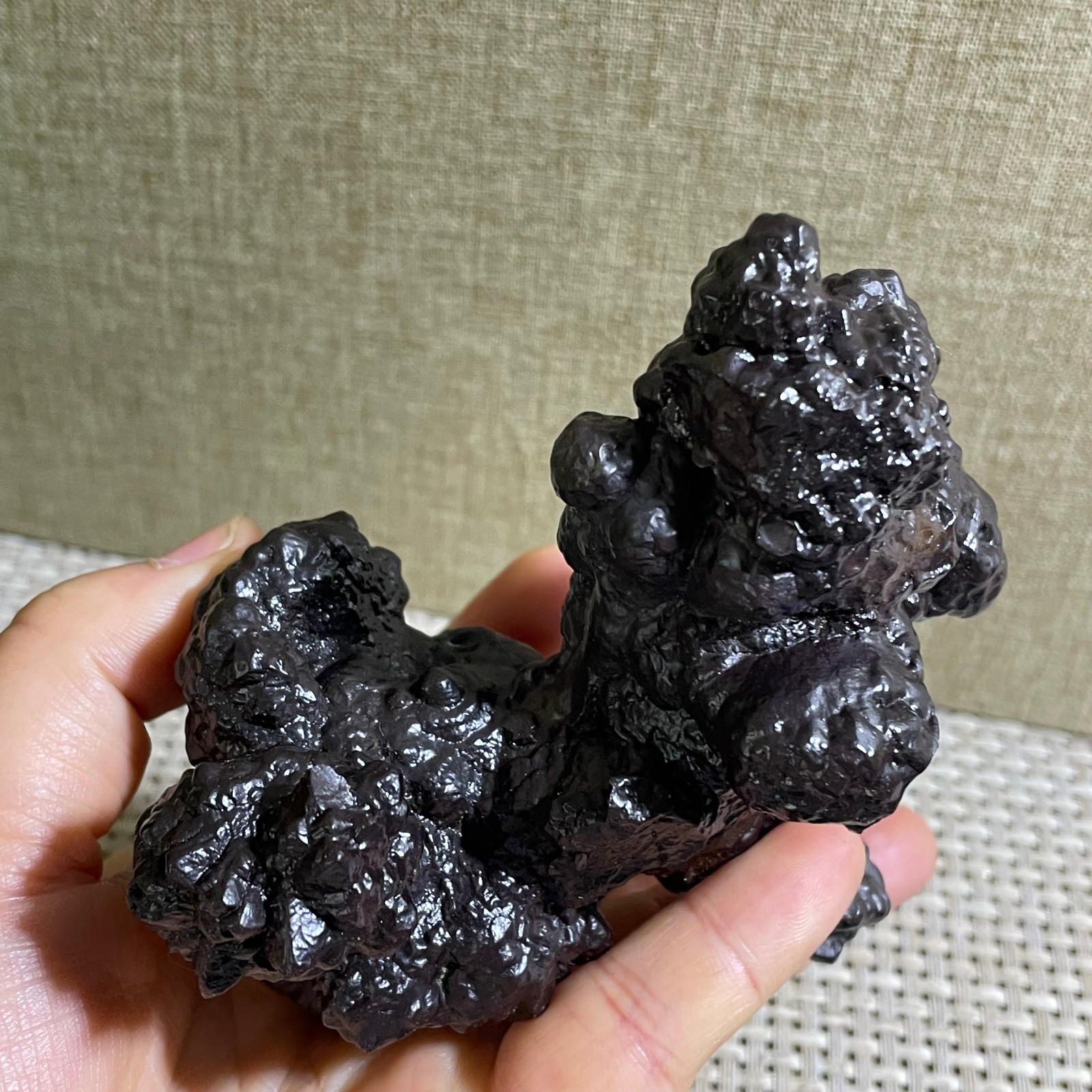 432g Limonite & Hematite pseudomorph after Marcasite Prophecy Rock Stone