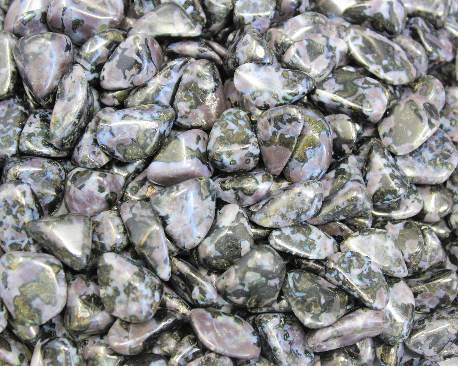 Indigo Gabbro Tumbled Stones Wholesale Bulk Lots (Mystic Merlinite Crystals)