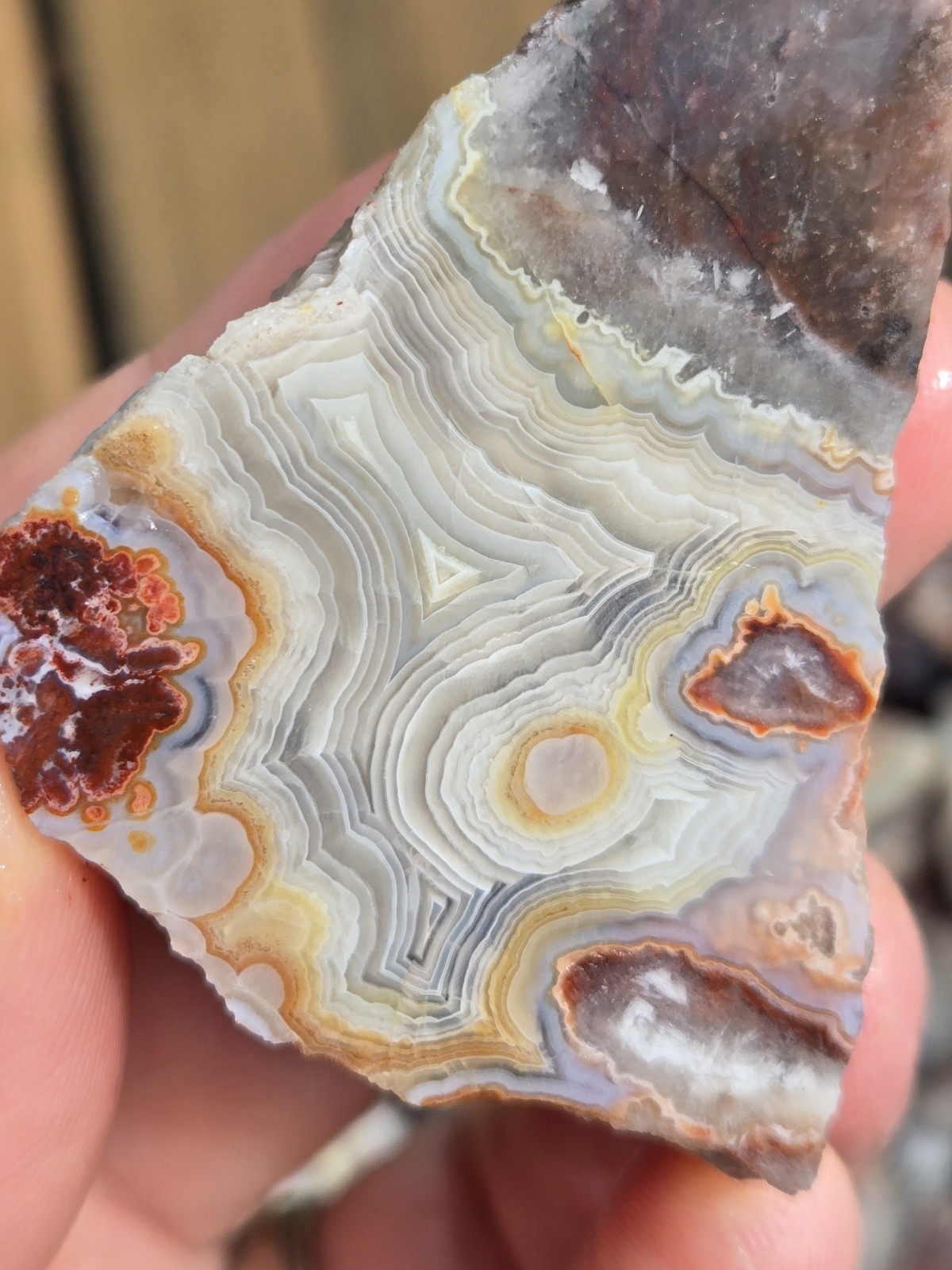 Crazy Lace Agate Rough Mexico – White Red Banding – Cut For Patterns 1 Pound