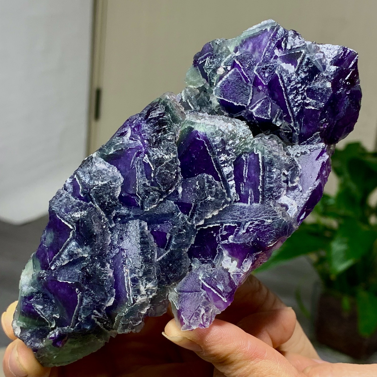 643G Rare transparent purple octahedron fluorite mineral crystal sample/China