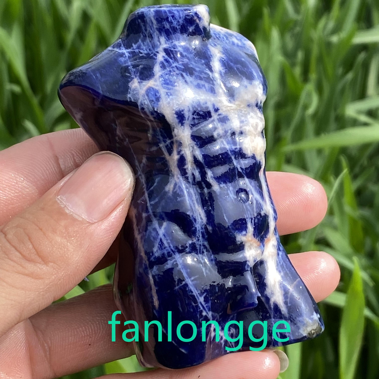 3.2in Natural Sodalite male Quartz Crystal skull Body Sculpture Reiki 1PC