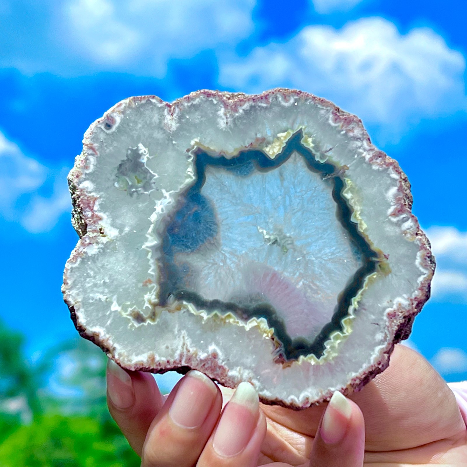 159G Natural Colorful Lace Agate Geode Slice Extra Large Gem From Argentina