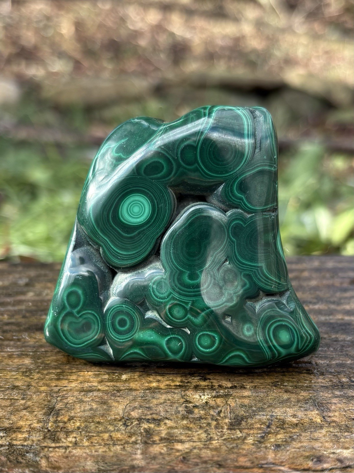 Polished Green Malachite Specimen- Natural 2.7” Banded Malachite Mineral Congo