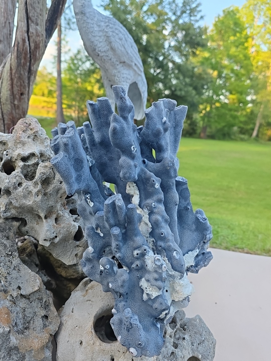 10 lb Nat Blue Coral Reef Cluster Marine Mineral Crystal Specimen Aquarium 14″