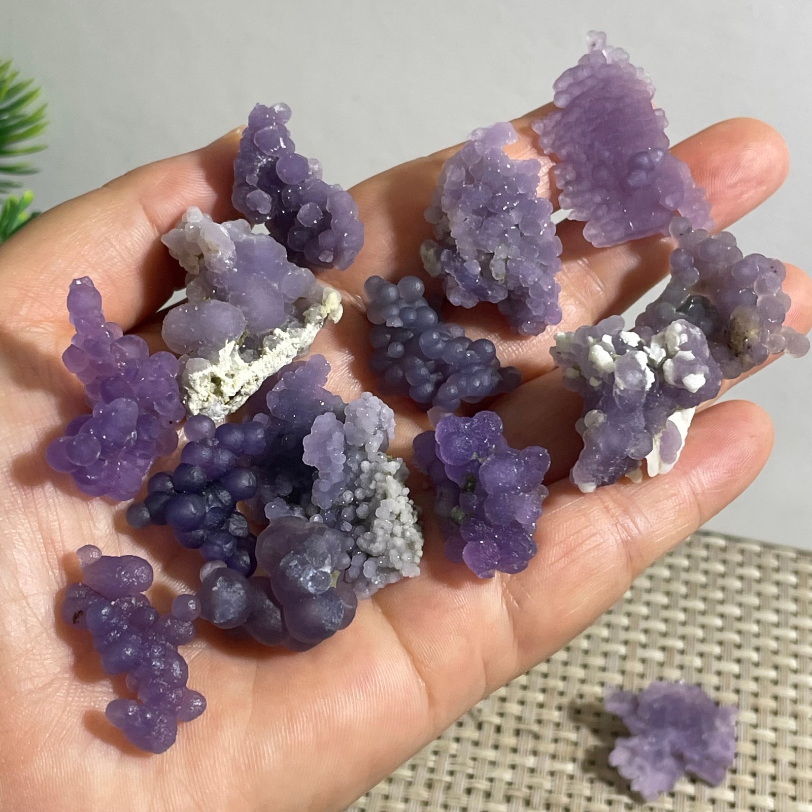 71g Purple stone, grape agate, quartz crystal, granular mineral 12pcs