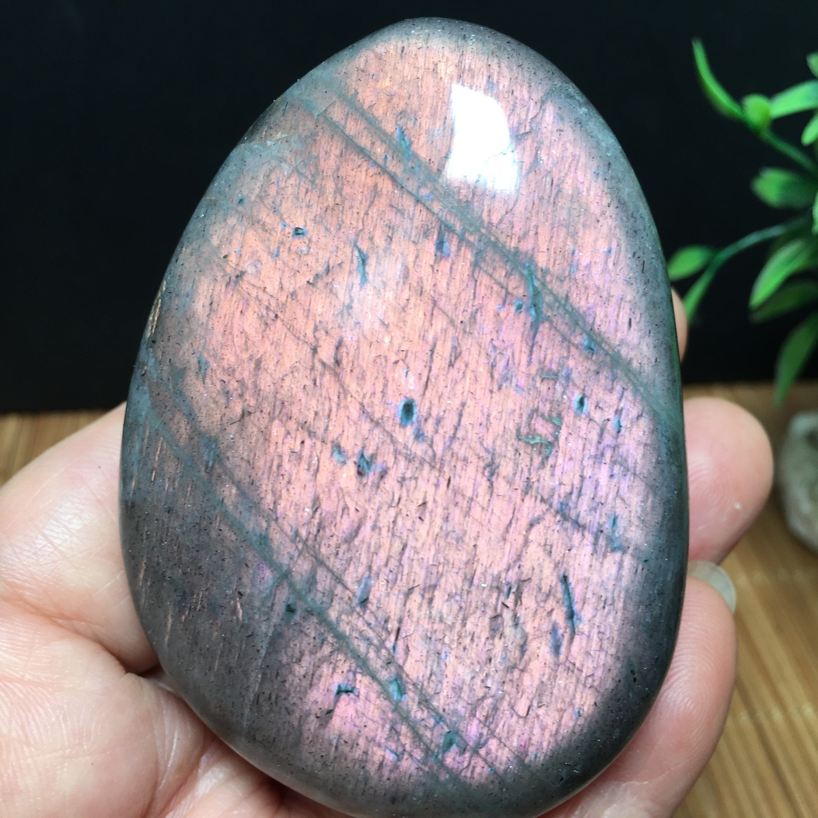 146g Natural Polished Labradorite plamstone Crystal Specimen fb1767