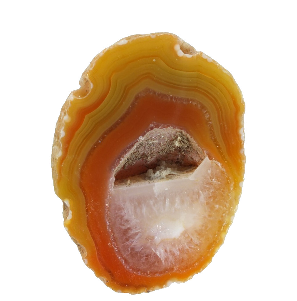 Agate Nodule, polished half Agate Creek Queensland Australia, Yellow (EA10185)