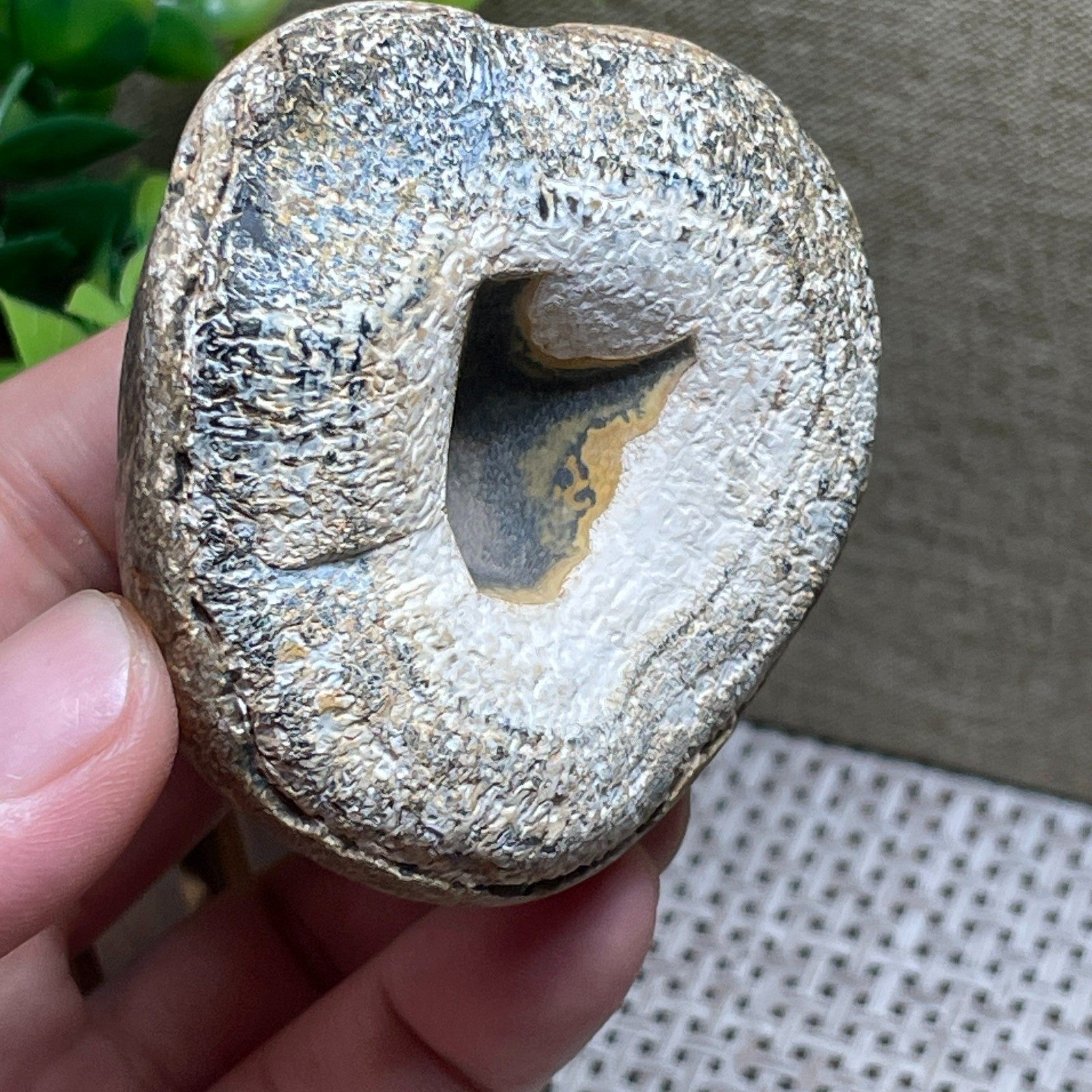 Beautiful ! GoBi agate eyes stone rough Crystal Stone Specimen Viewing 146gram