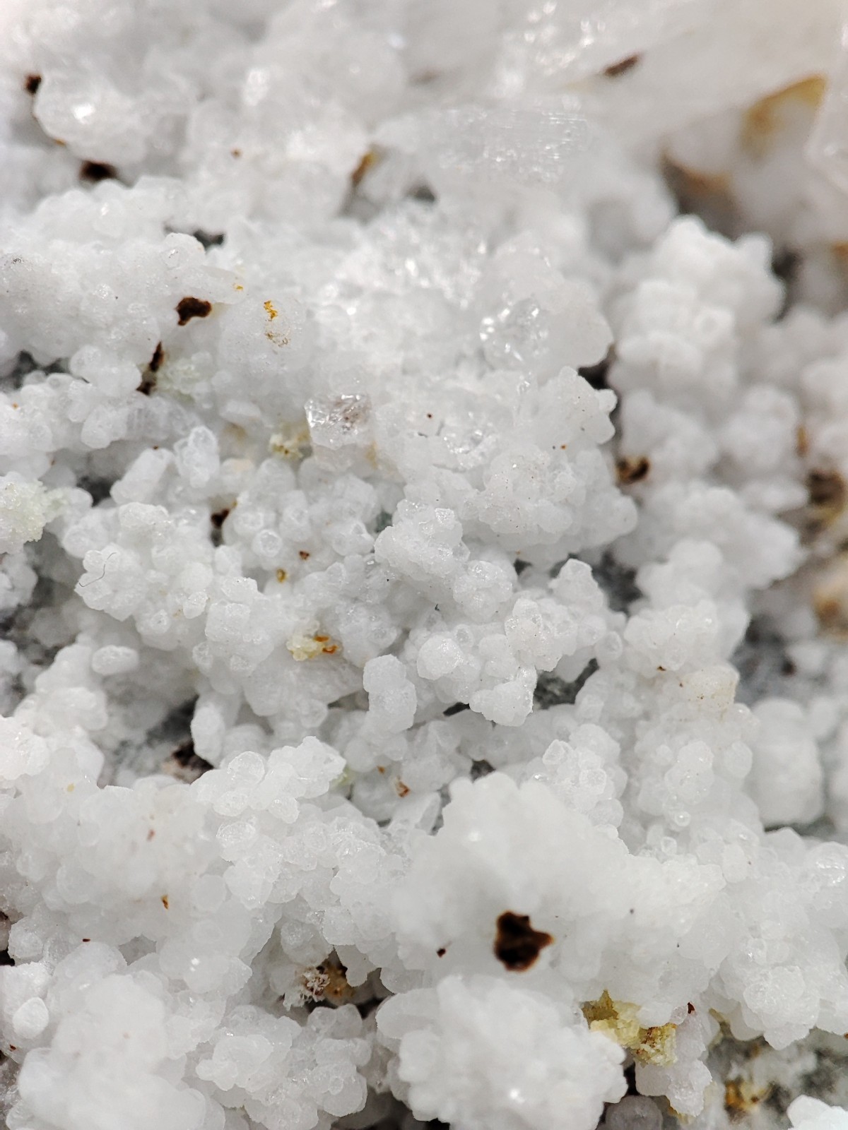 New Find White Aragonite with Blue Malachite on Matrix Limonite, Specimen – Pak.