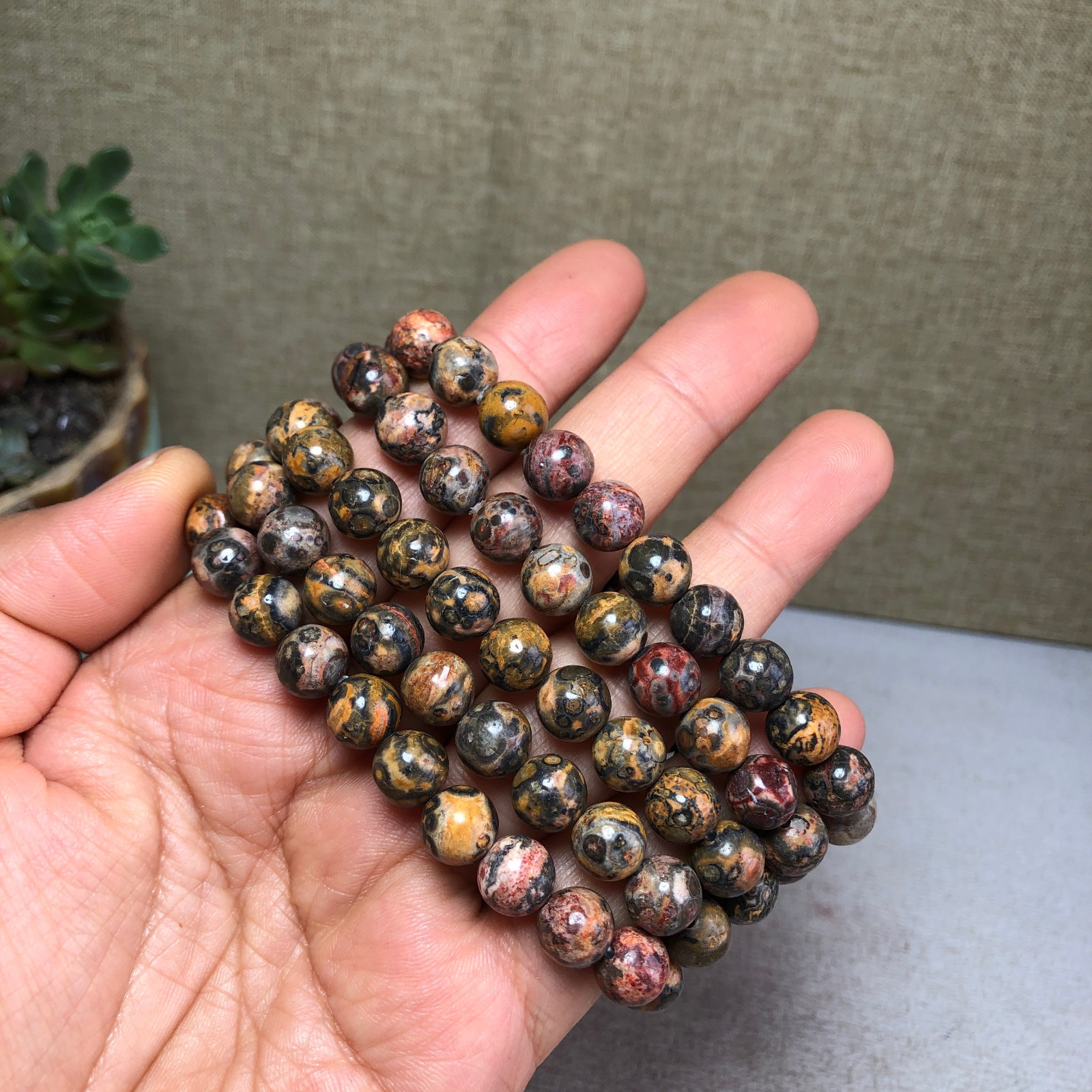 5pcs Natural Leopard stone gemstone Crystal chain bracelet Specimen 8mm T4766