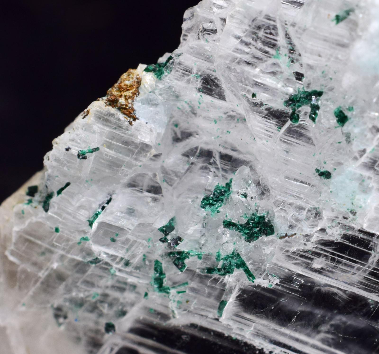 4.6cms GEM ATACAMITE INSIDE SELENITE CRYSTAL LILY MINE PERU TB179
