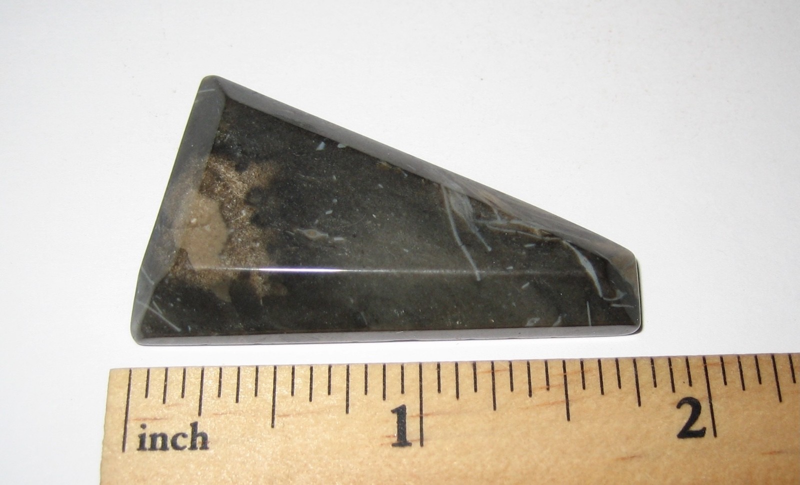 1.8″ x 1″ TUMBLED POLISHED CABOCHON STYLE CUT FOSSIL FORAMINIFERA STONE 12.4g *1