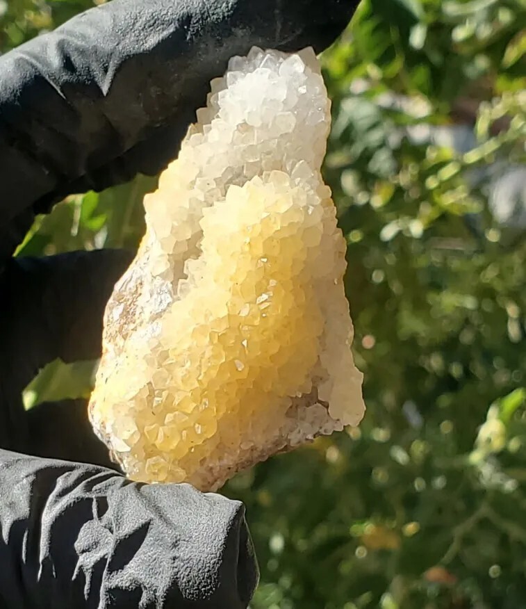 Natural Golden Healer Cluster Specimen 70g