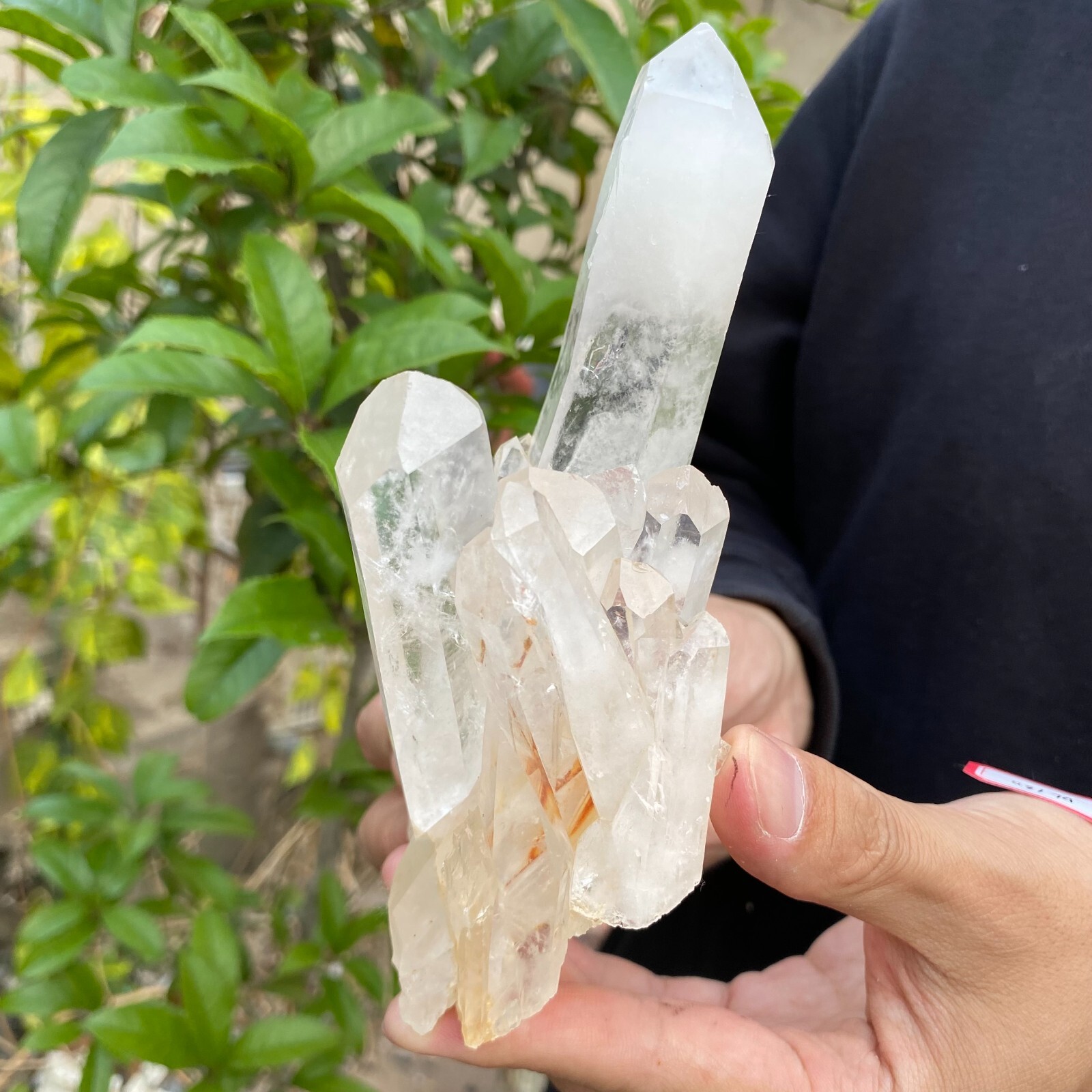1.2lb Natural Clear White quart Crystal Cluster Raw Healing Specimen