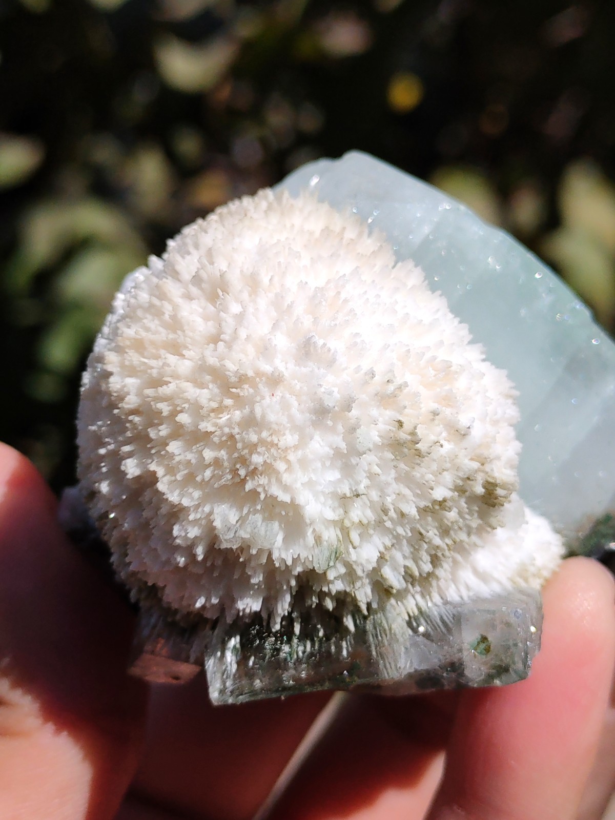 Thomsonite ball with Green Apophyllite, Natural Mineral Specimen