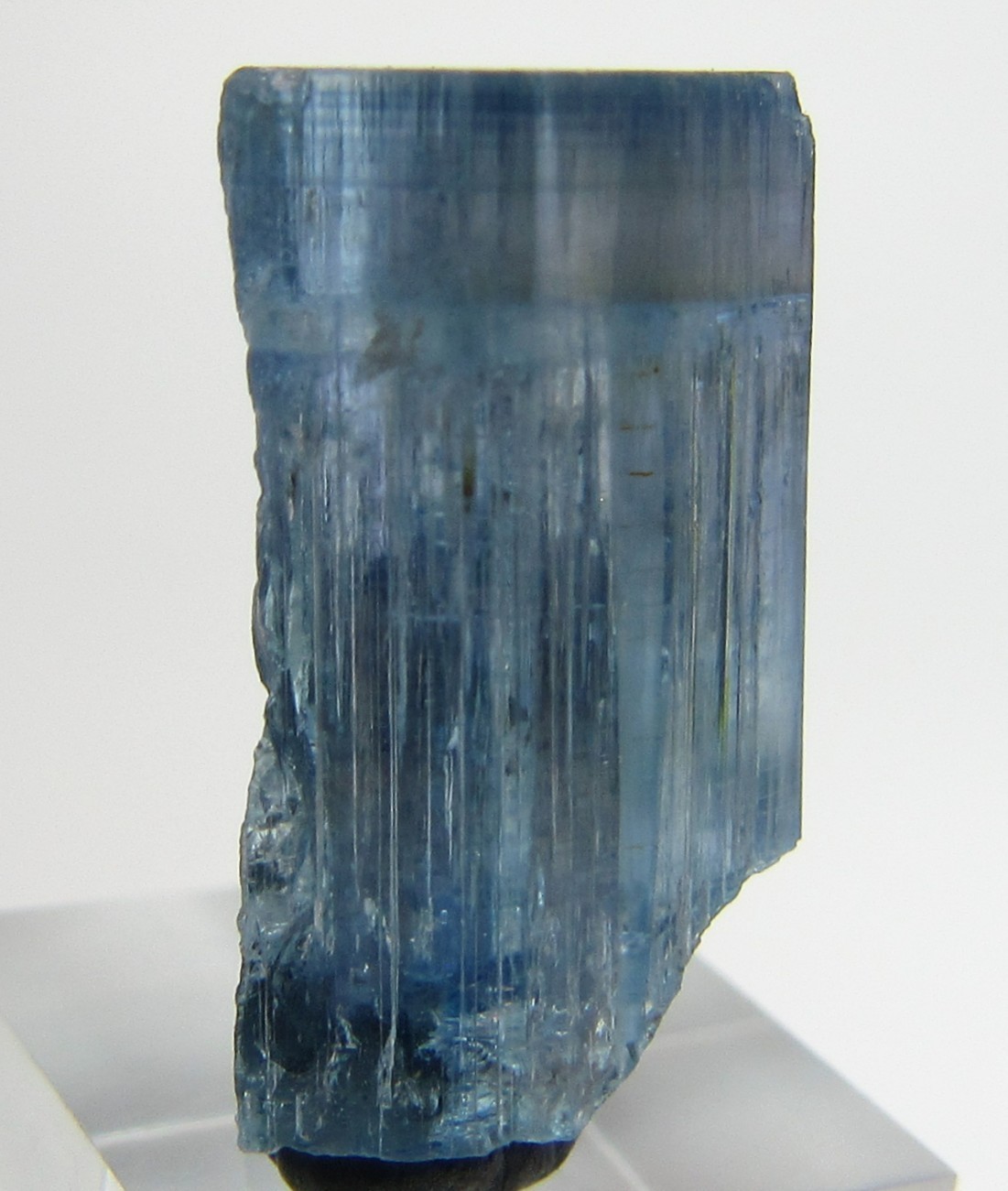 OUTSTANDING ALKALI-RICH GEM AQUAMARINE BERYL CRYSTAL!!! NEW FIND PAKISTAN