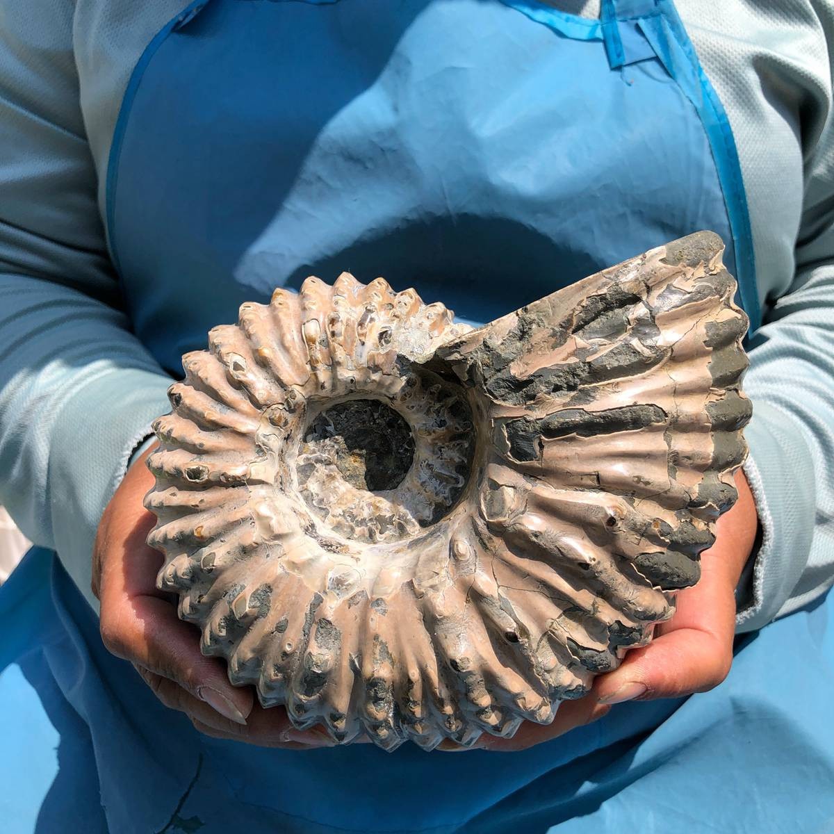 3.74LB Natural Beautiful Ammonite Fossil Conch Crystal Specimen Healing 5389