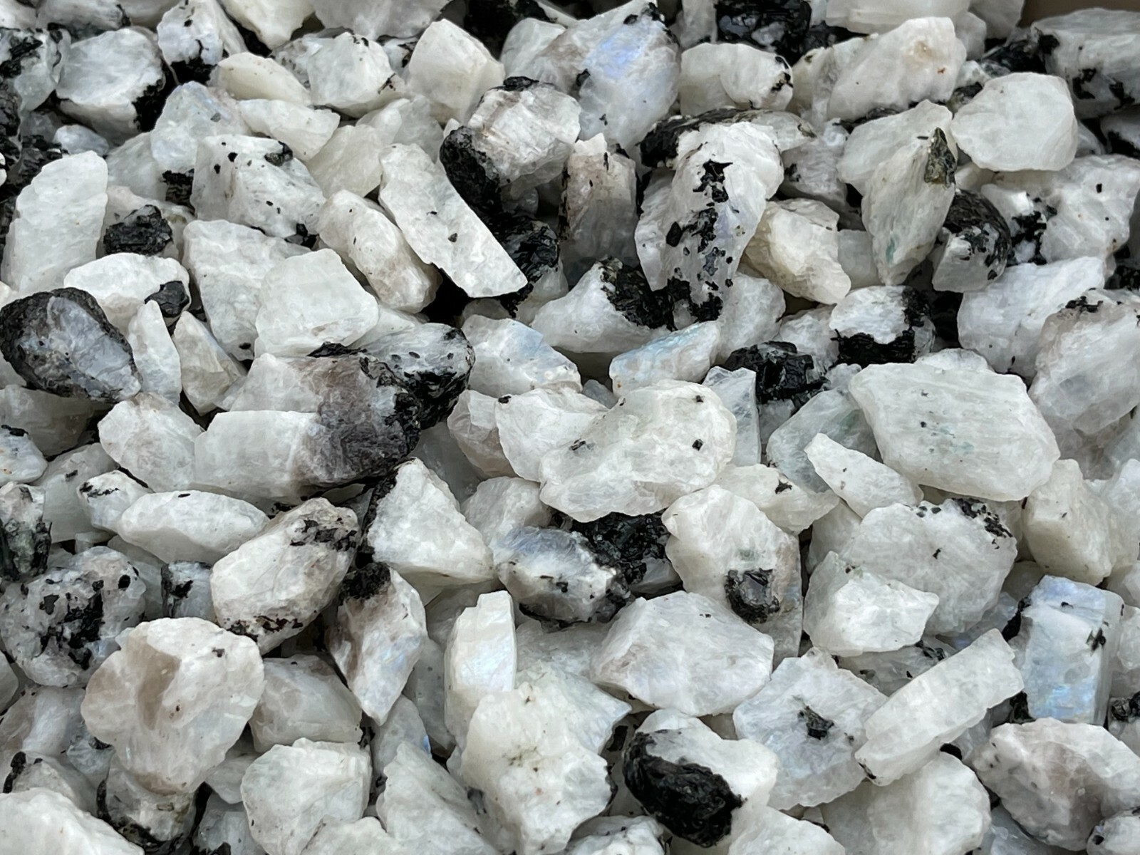 Grade A+ Small Rainbow Moonstone Natural Stone, 0.5″-1″ Raw Rainbow Moonstone.