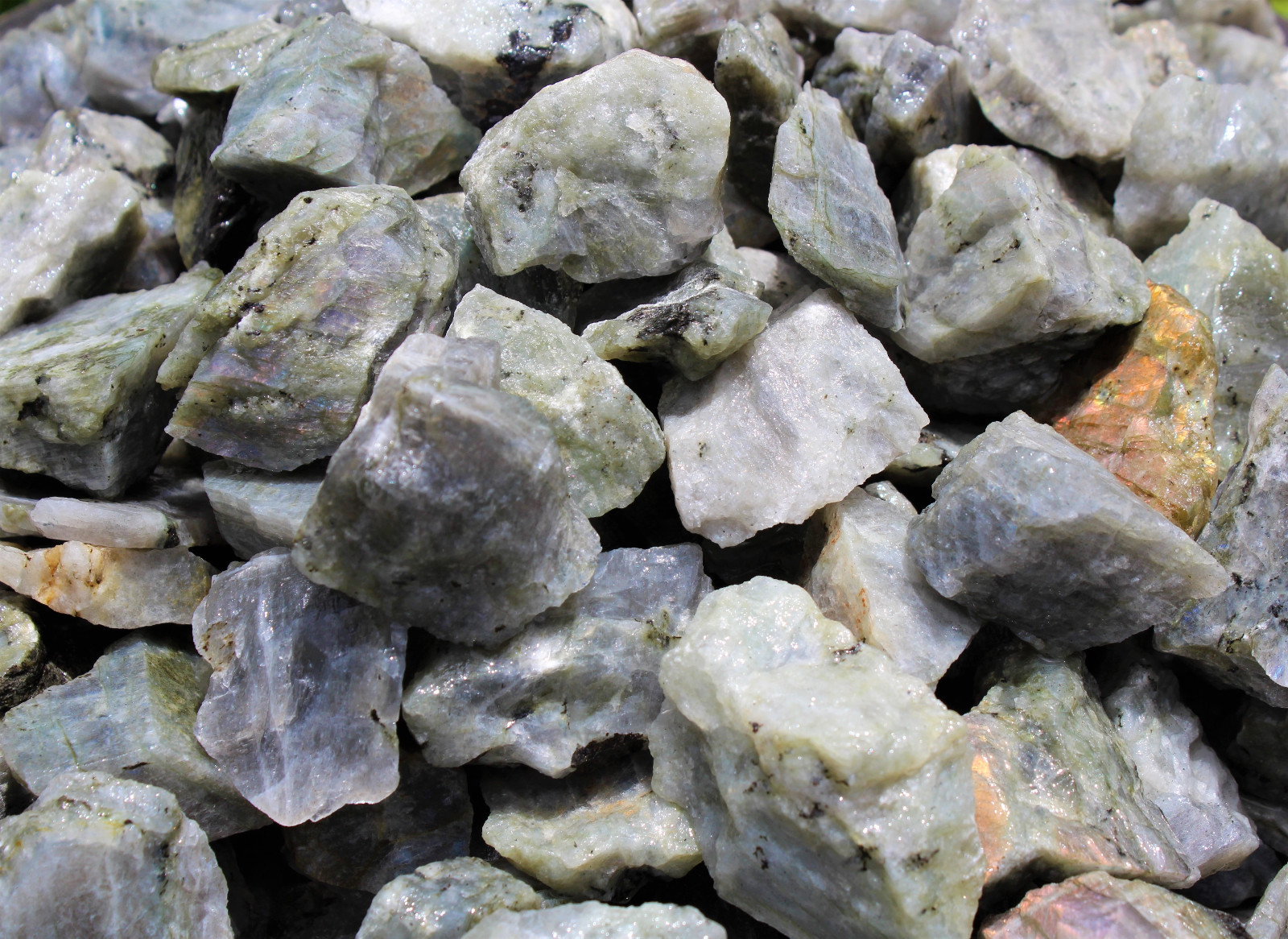 1 Rough Labradorite Crystal (Raw Natural Gemstone Specimen)