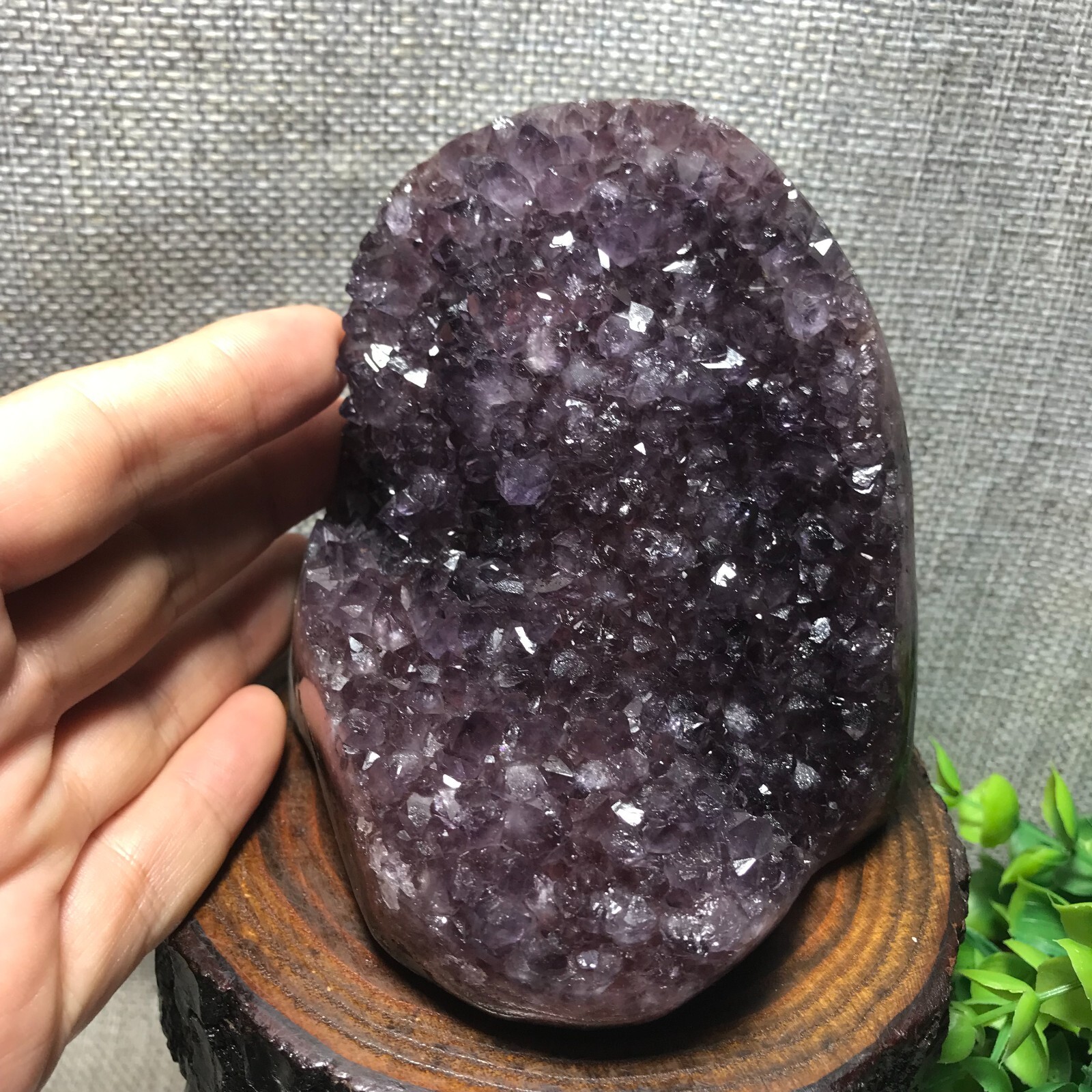 821g Natural Amethyst Cluster Geodes Cut Base Quartz Crystal Healing Specimen 32